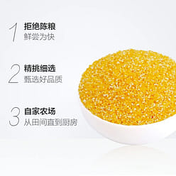 Corn Grit Coarse Grain Partner 1000 g
