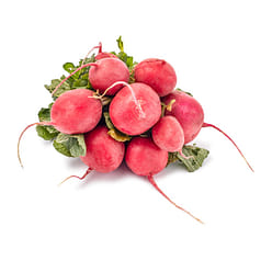 Red Radish Bunch 1 each