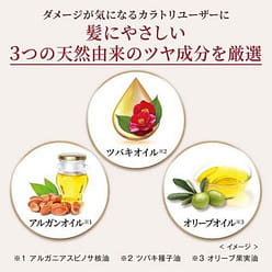 Hoyu Grey Covering Hair Color Natural Brown 230g 1 each