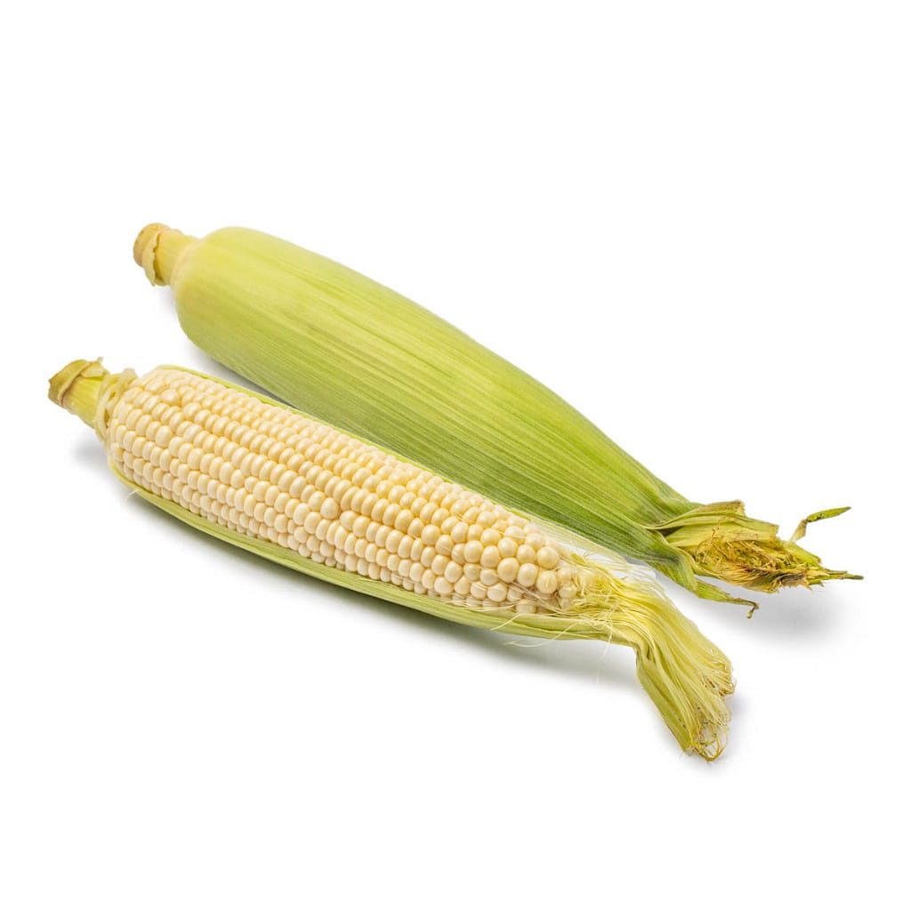 Elote blanco 1 unidad(es)