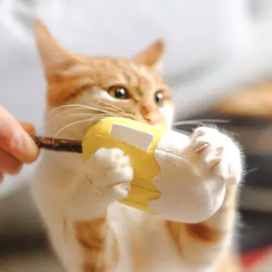 【Meowcard 喵卡】冰淇淋木天廖猫玩具 1 份