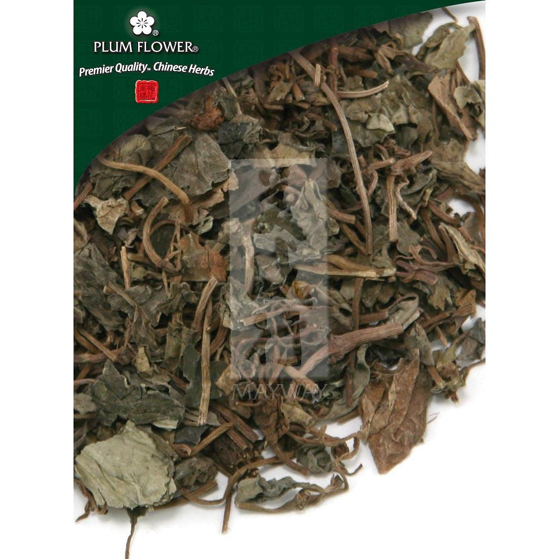 Jin Qian Cao, unsulfured Lysimachia christinae herb 1 個