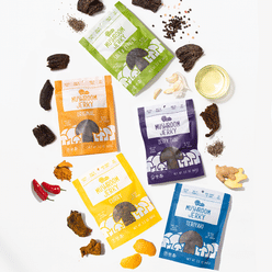 Pan's Mushroom Jerky - Favorite Flavors Pack 11 oz