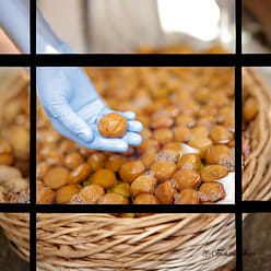 UMAMI Organic Umeboshi, Shiso-Pickled Ume 100 g