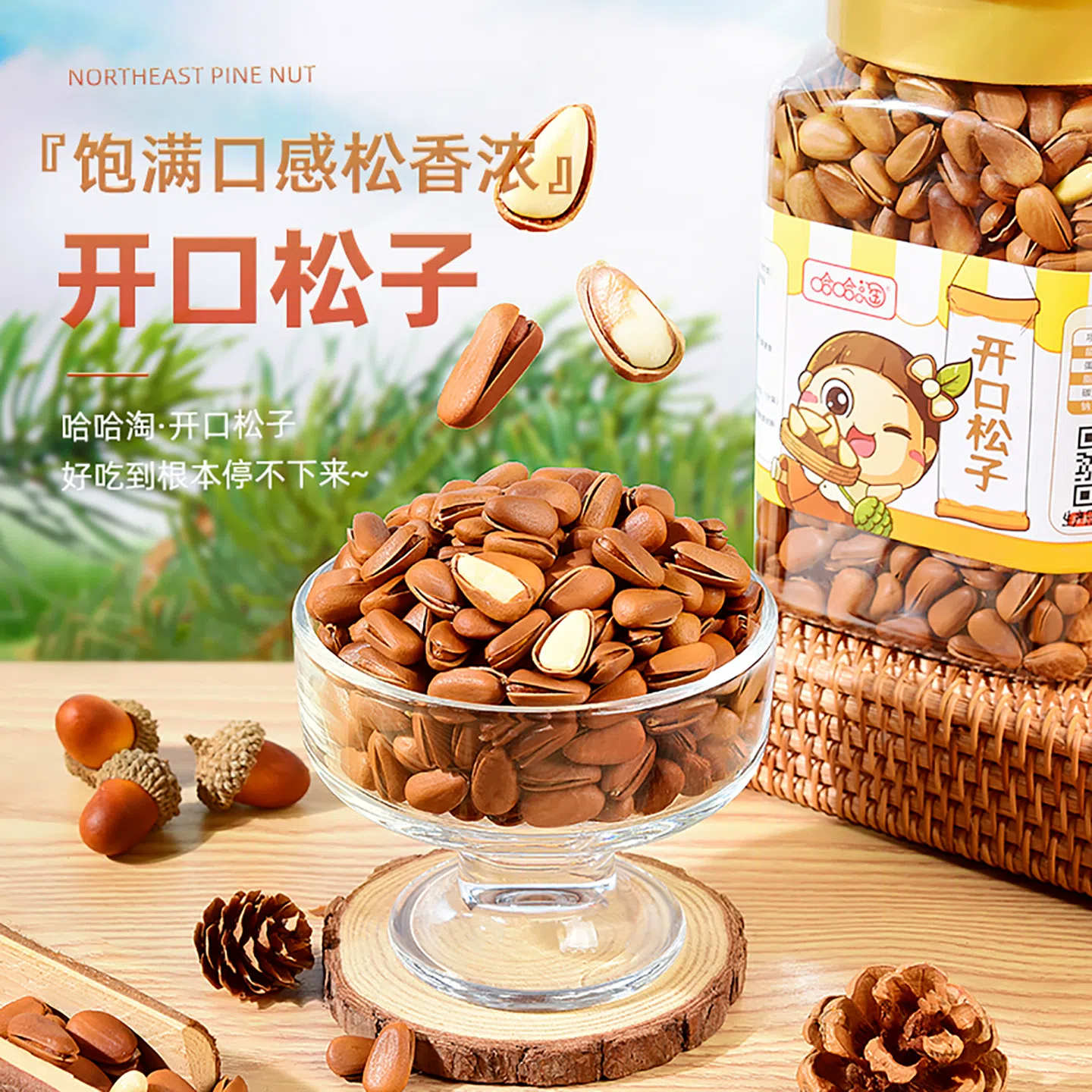 Haha Tao Northeast Pine Nuts 500g*1 Can 500 g