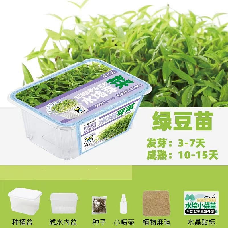 mung bean sprouts 1 each