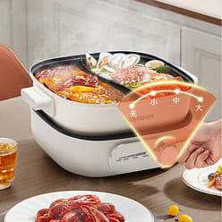 Joydeem速沸鸳鸯电火锅DHG-B600 1 个