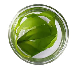 Seaweed seedlings 500g * 1 pack 500 g