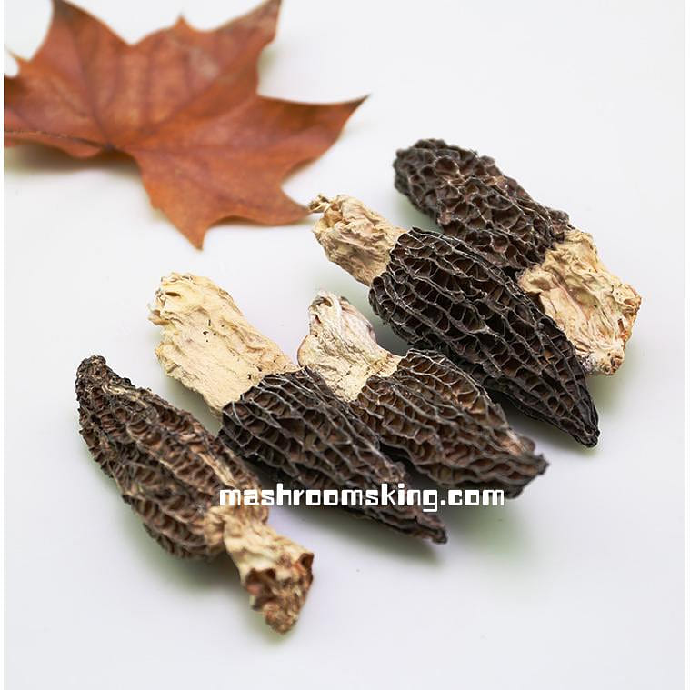 XLSEAFOOD Yun Nan Premium A+ Wild True Morel Mushroom Large Size  4OZ 113g p 59.99 개