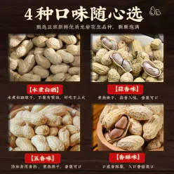 Garlic spiced peanut rice with shell 200g*1 200 g