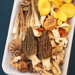 Yunnan Colorful Mushroom Soup Dumplings 200g 200 g