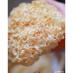 Xlseafood organic snowfungus 4 pcs pack 5oz 5 oz