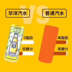 华洋果汁汽水330g*6罐 1980 克