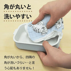 Japan Chaco Bento Box - Pink 1 count