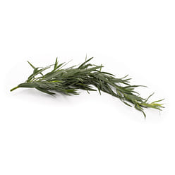 Tarragon Herb 0.75 oz