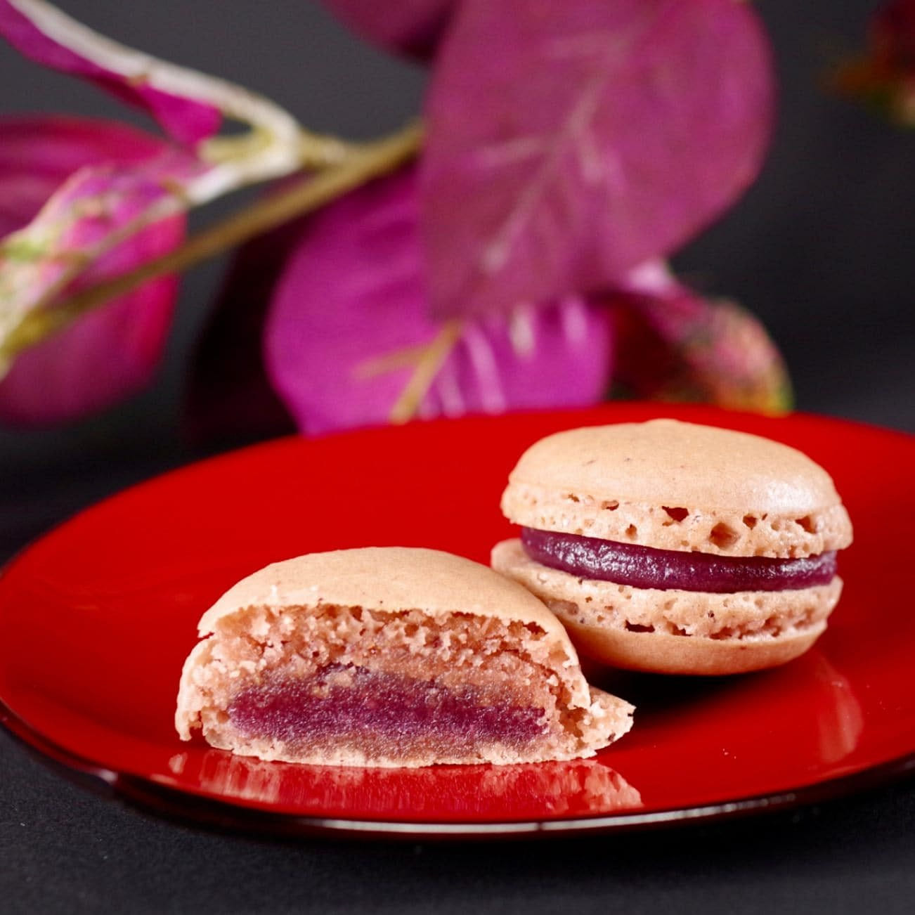 Japanese Macaron Purple 1 case