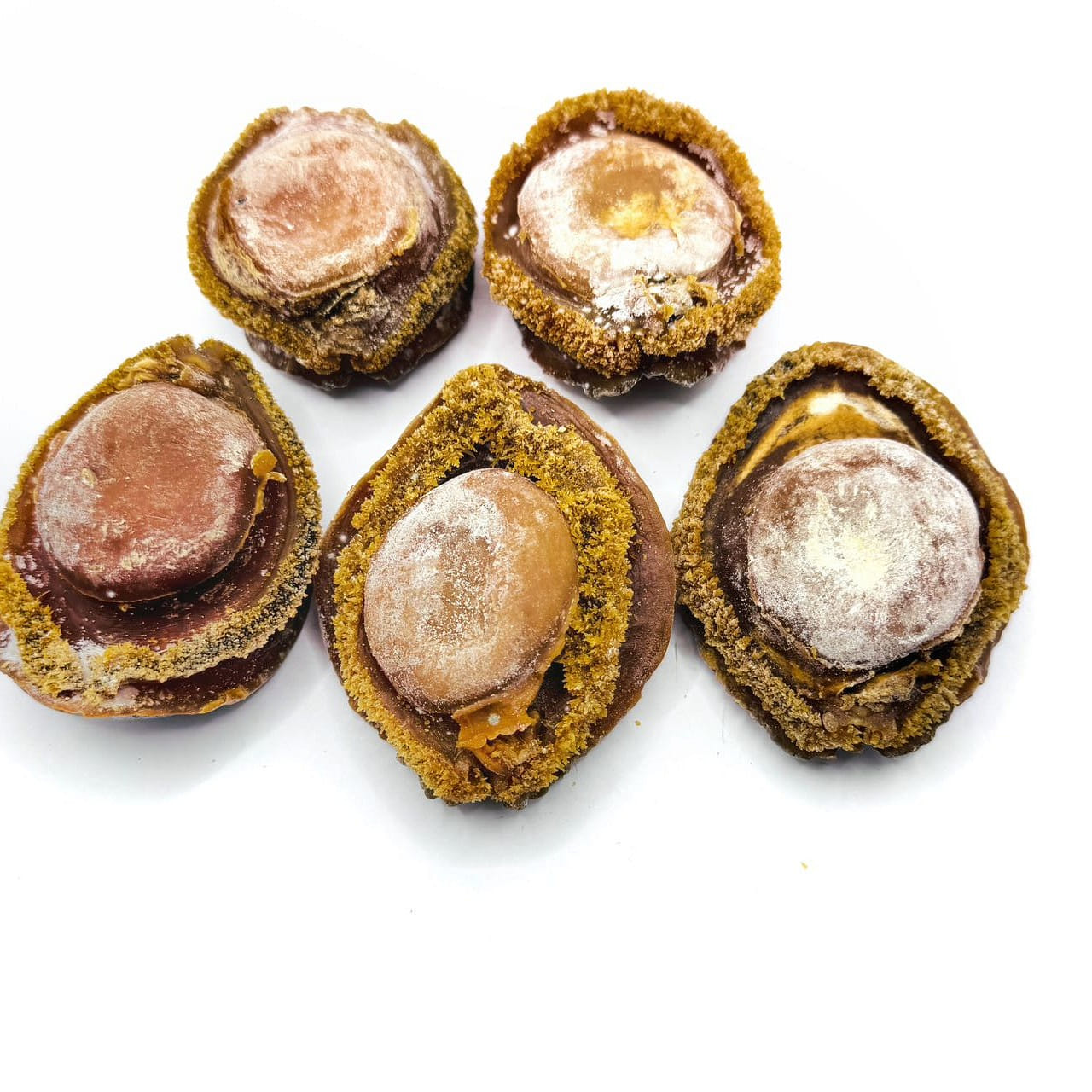Dried South African Abalone #4.5 (4-5 pcs/lb) 16 oz
