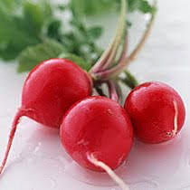 Red Radish 1 bunch