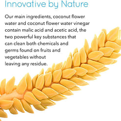 Rain Organic fruit and vegetable wash (concentrate) 19.6 fl.oz 19.6 fl.oz