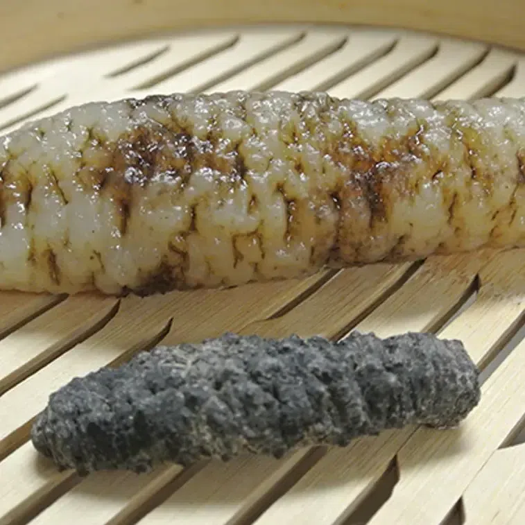 South America Dry Sea Cucumber 200g 1 개