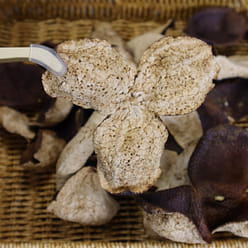 6-Year Aged Xinhui Dried Tangerine Peel 1 oz