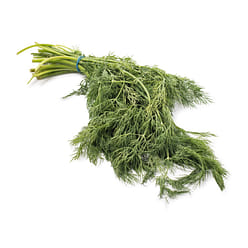 Baby Dill 1 bunch