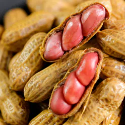 Yongxin old braised peanuts with spice shell*1 500 g
