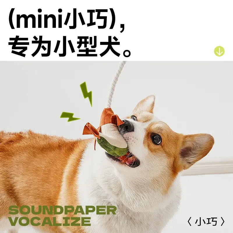 逗犬棒 狗狗玩具磨牙发声小狗解闷自嗨神器(章鱼) 1 个