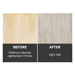 eZn Yellow Out Ash Toner Pudding Hair Color 140ml 1 each