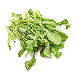 Little Yu Choy Mieu 0.95-1.05 lb