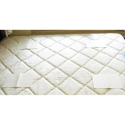 컴배트 진드기싹 시트 500 그램