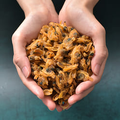 Dried clams dried flower shells 250g * 1 can 250 g