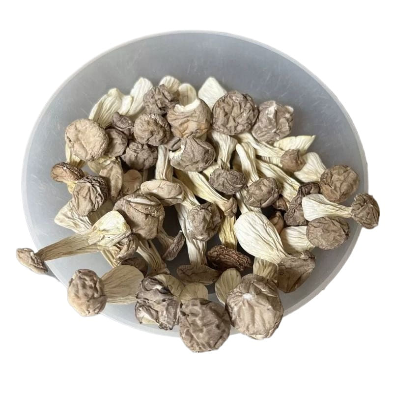 Longevity Mushroom 50g * 1 bag 50 g