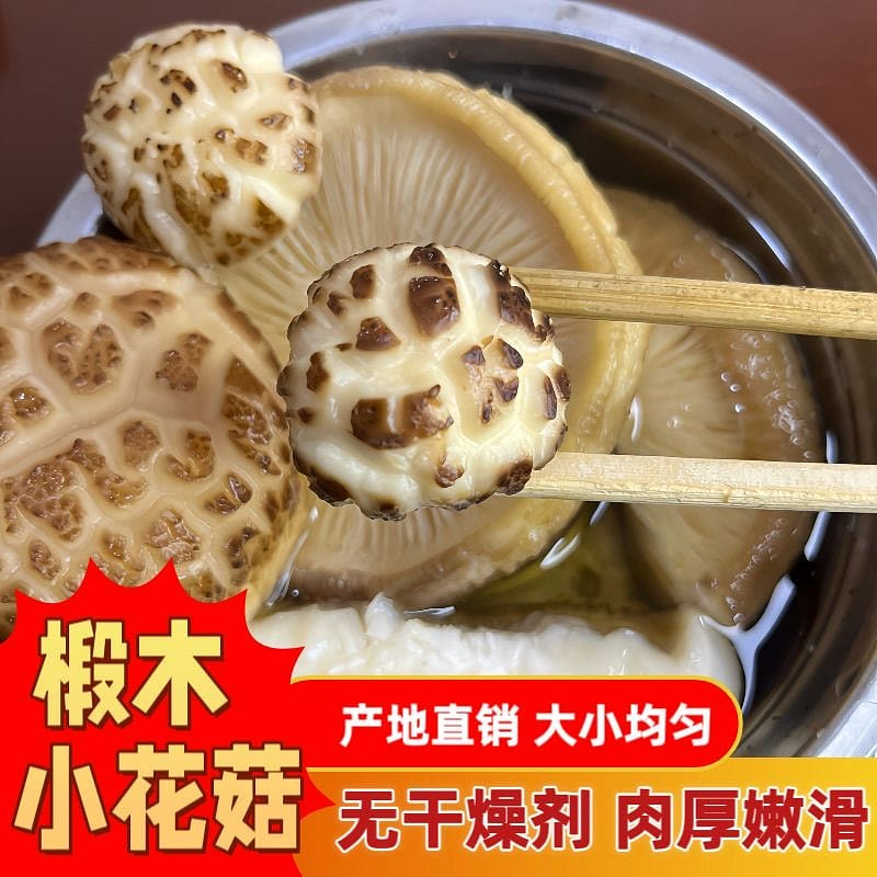 随州小花菇 特级出口花菇迷你珍珠菇1袋 250 克