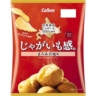 Calbee Rich Rock Salt Potato Chips 60g 60 그램