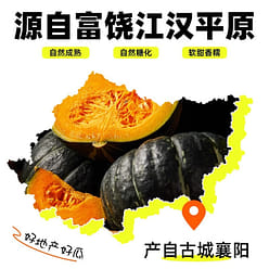 Beibei Pumpkin Meal Replacement Healthy Snack 300g 300 g