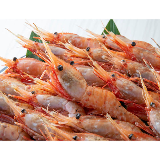weee_seafood_Frozen Botan Ebi (Spot Prawn) XL 21-24 PC 2.2 lb