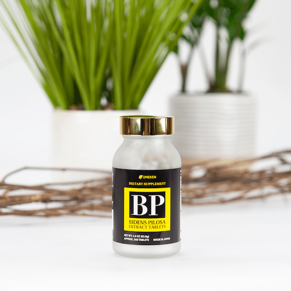 Umeken Bidens Pilosa Extract 2 months supply 82.8 그램