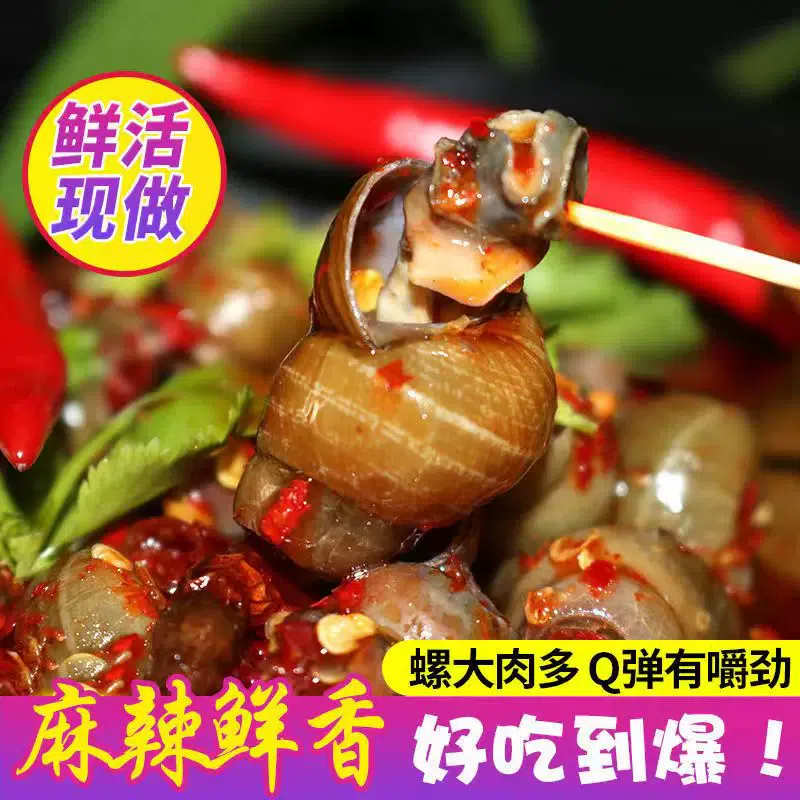 Spicy snail delicatessen screw meat 8090 nostalgic snacks 500g *1 can 500 กรัม