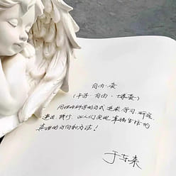 胖东来书籍走在信仰的路上中文版（2册） 1 个