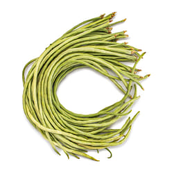Long White Bean 1.5 lb
