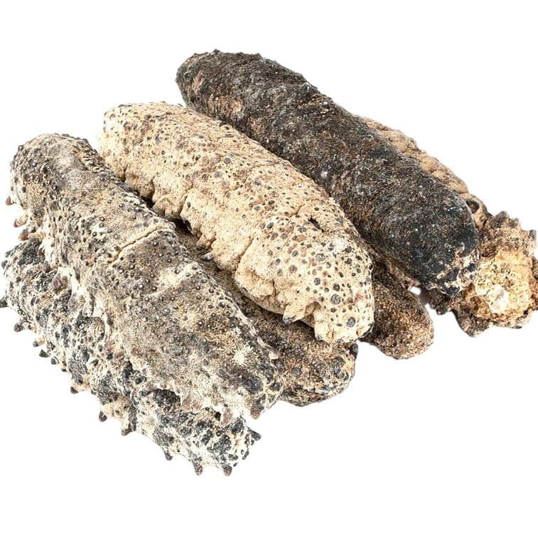 HMT South America Mexican Sea Cucumbers Dried 200g Shuang Pai 1 개