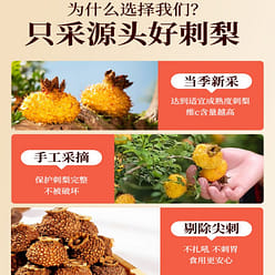 Dried and fresh prickly pear fruit rich in VC 250G 250 g