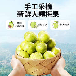 Authentic Prune 108g salted sour plum dried in wat 108 g