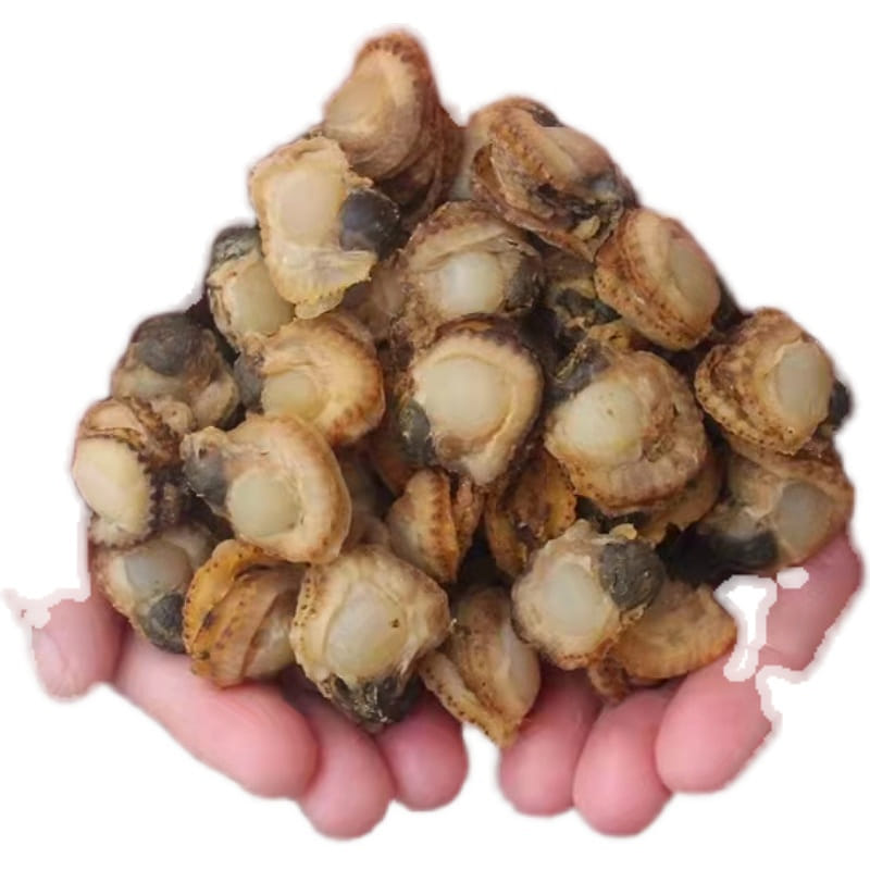 Dried mussels with aquatic seafood 50g*1 bag 50 g