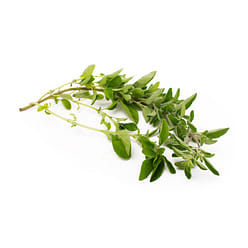 Oregano Herb 0.75 oz