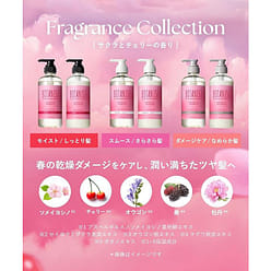 Botanist botanical shampoo damage care 460ml 1 each