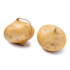 Jicama 3-3.5 lb