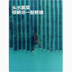 Baby Greedy Seaweed Sandwich Crisps Instant Children's Snacks 18g/bag 18 g