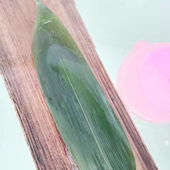 Seasonal fragrant fresh Zongzi leaves farmer hand fresh Zongzi 50 pieces/package 100 g